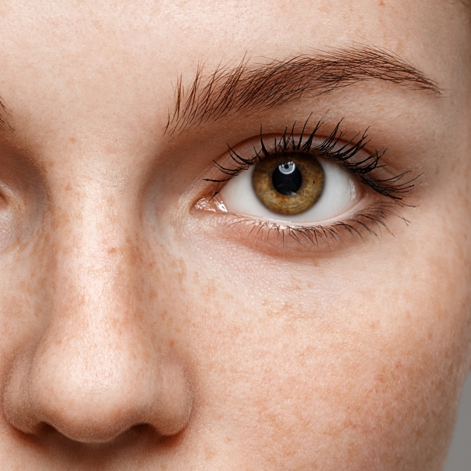 Eyes woman eyebrow eyes lashes nose freckles